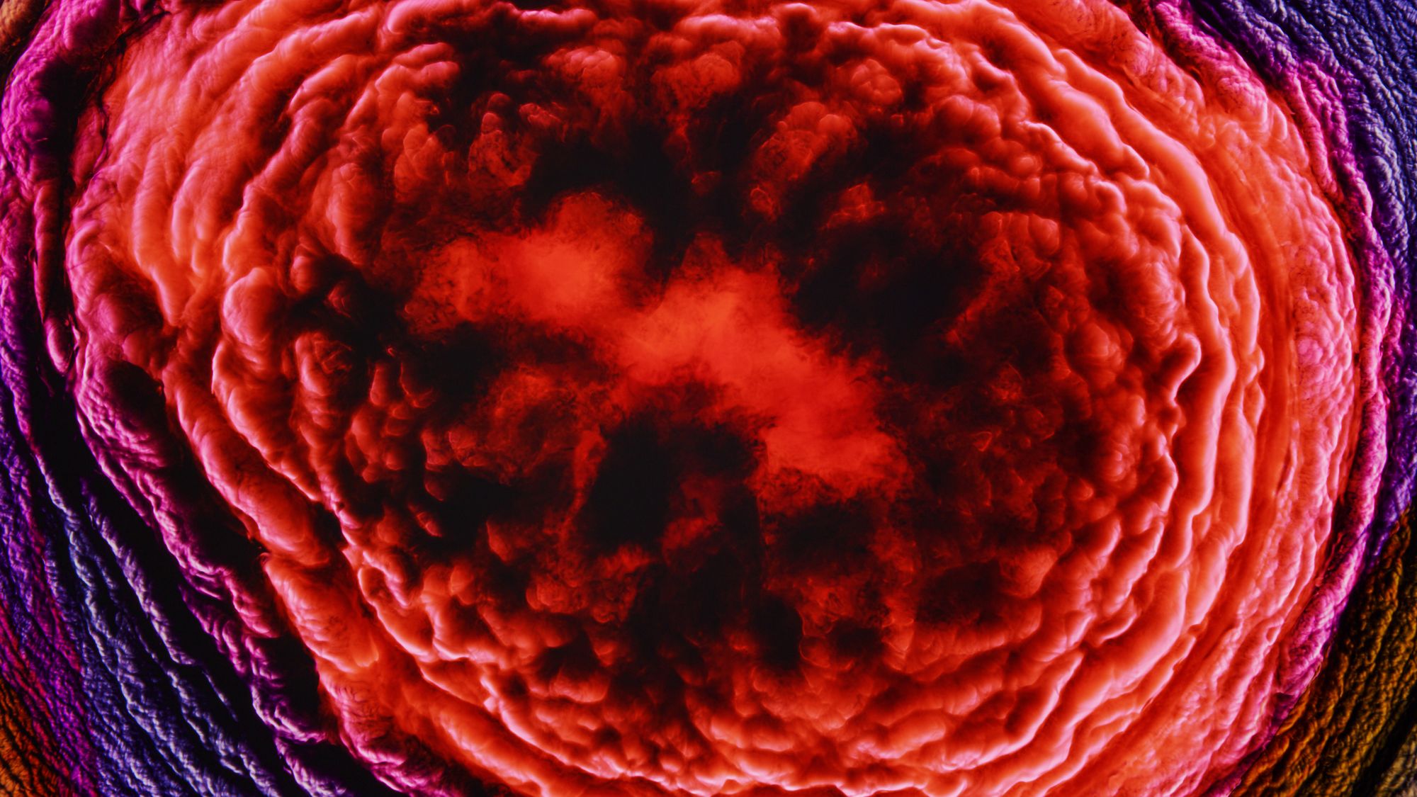 stills_21187_roman-de-giuli